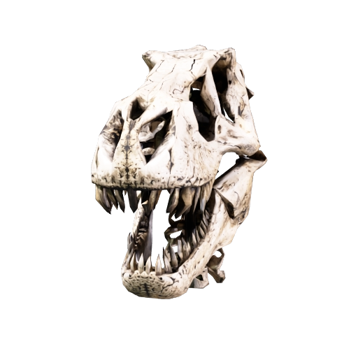Dinosaur Skull